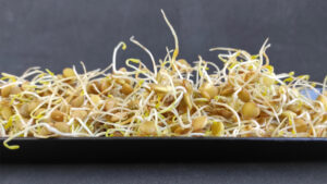 Lee más sobre el artículo Porque cultivo Microverdes y Germinados