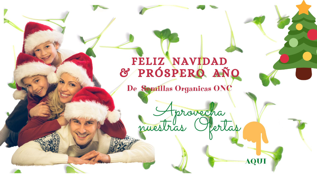 xr:d:DAFUUPt9kxo:18,j:43447383651,t:22121013