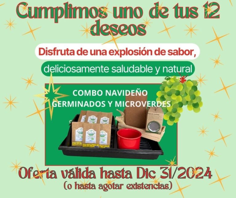 PROMOCION DIC 2024