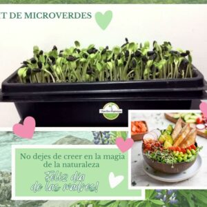 Kit Microverdes Du-Pro para Mamá