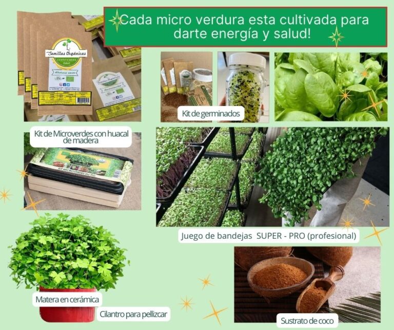 PROMOCION DIC 2024 - Imagen 3