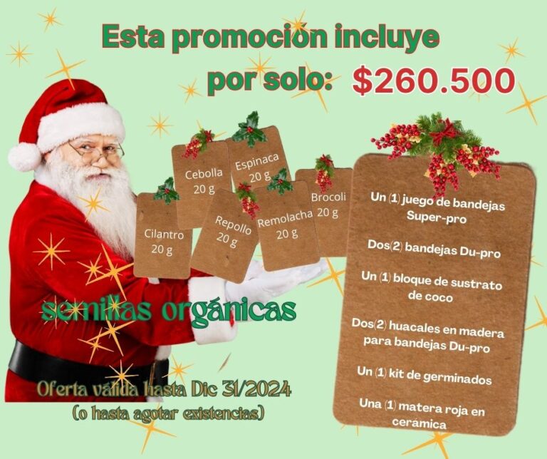 PROMOCION DIC 2024 - Imagen 4