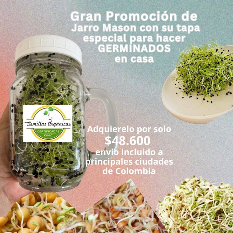 PROMO JARRO PARA GERMINADOS CON TAPA ESPECIAL